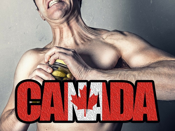 image of canada steroid review